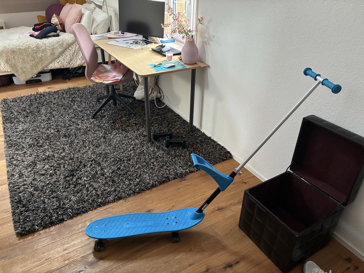 Skateboards: Ookie skateboard trainer – Nuovo (secondo la descrizione) da Abtwil AG venduto da dan_npw9