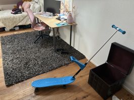 Ookie skateboard trainer