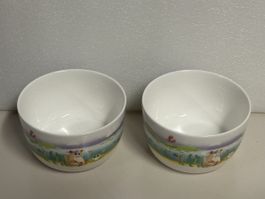 Original Villeroy&Boch Design 2 Müslischalen