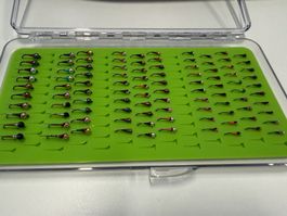 100 Stk. Perdigon Nymphen in Box neu Nr. 36