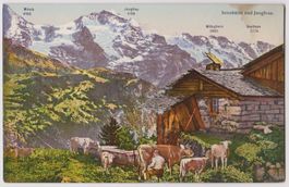 AK Sennhütte u.Jungfrau, ungel. um ca. 1910-20