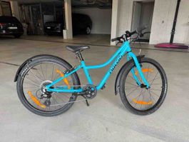 Naloo Children Bicycle Blue Like New Condition | Size 24