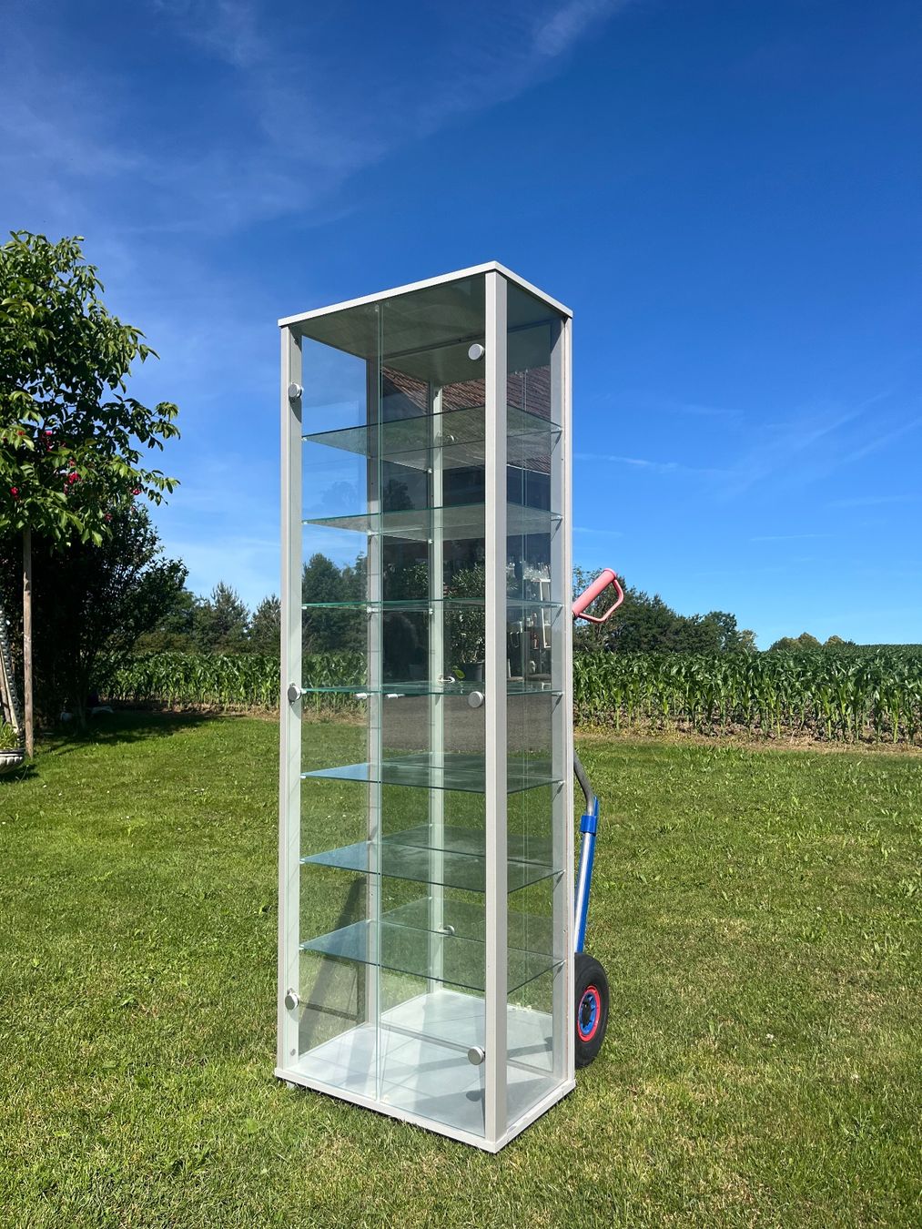 Vetrine: Glasvitrine 2 Türig – Usato da Allmendingen b. BE venduto da juair 1