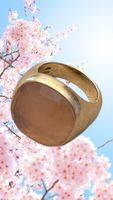 Pomellato Cipria Ring Roségold mit Rosenquarz
