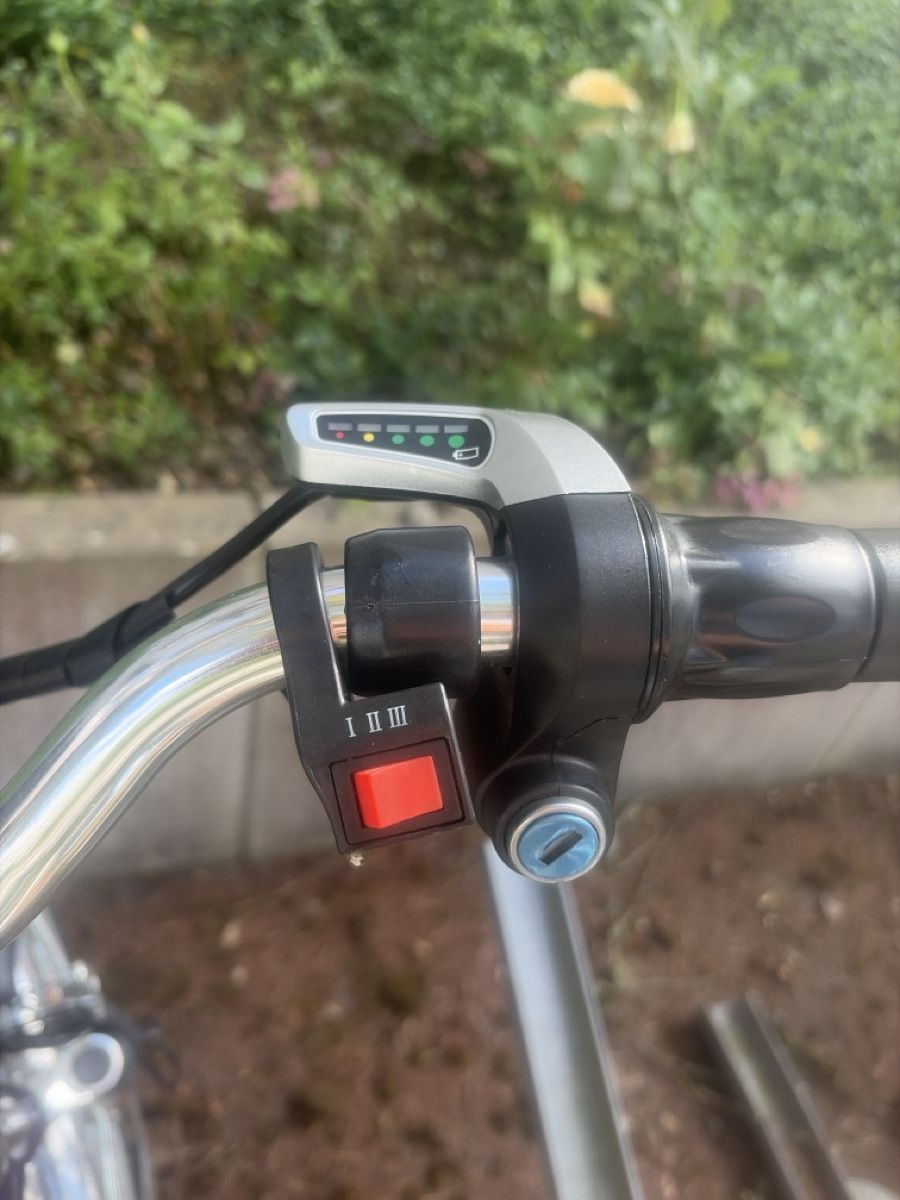 Biciclette: Praktisches E-Dreirad mit grossem Korb – Usato da Zürich venduto da Blume1103 3