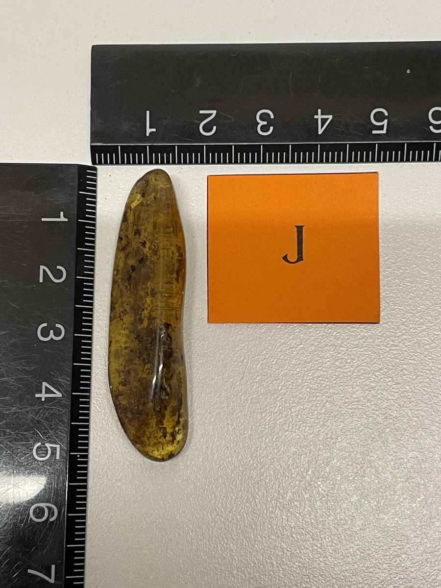 Fossili: Bernstein – Usato da Rümlang venduto da SchumBru10