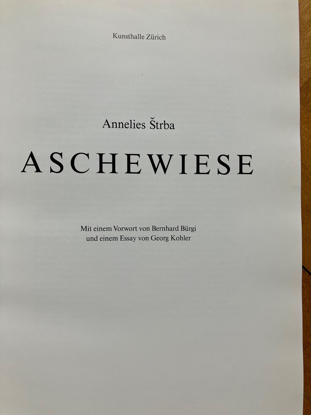 Libri: Annelies Štrba: Aschewiese – Nuovo (secondo la descrizione) da Basel venduto da papageientulpe 1