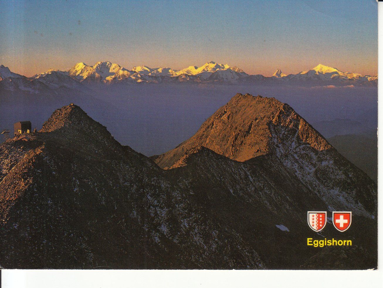 Cartoline postali: Eggishorn 1981 – Usato da Bürglen TG venduto da StampGraf