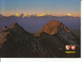 Eggishorn 1981