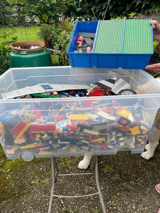 Lego Giocattoli: Grosses Konvolut Lego Steine - 15kg – Usato da Goldach venduto da jomi_ch 1