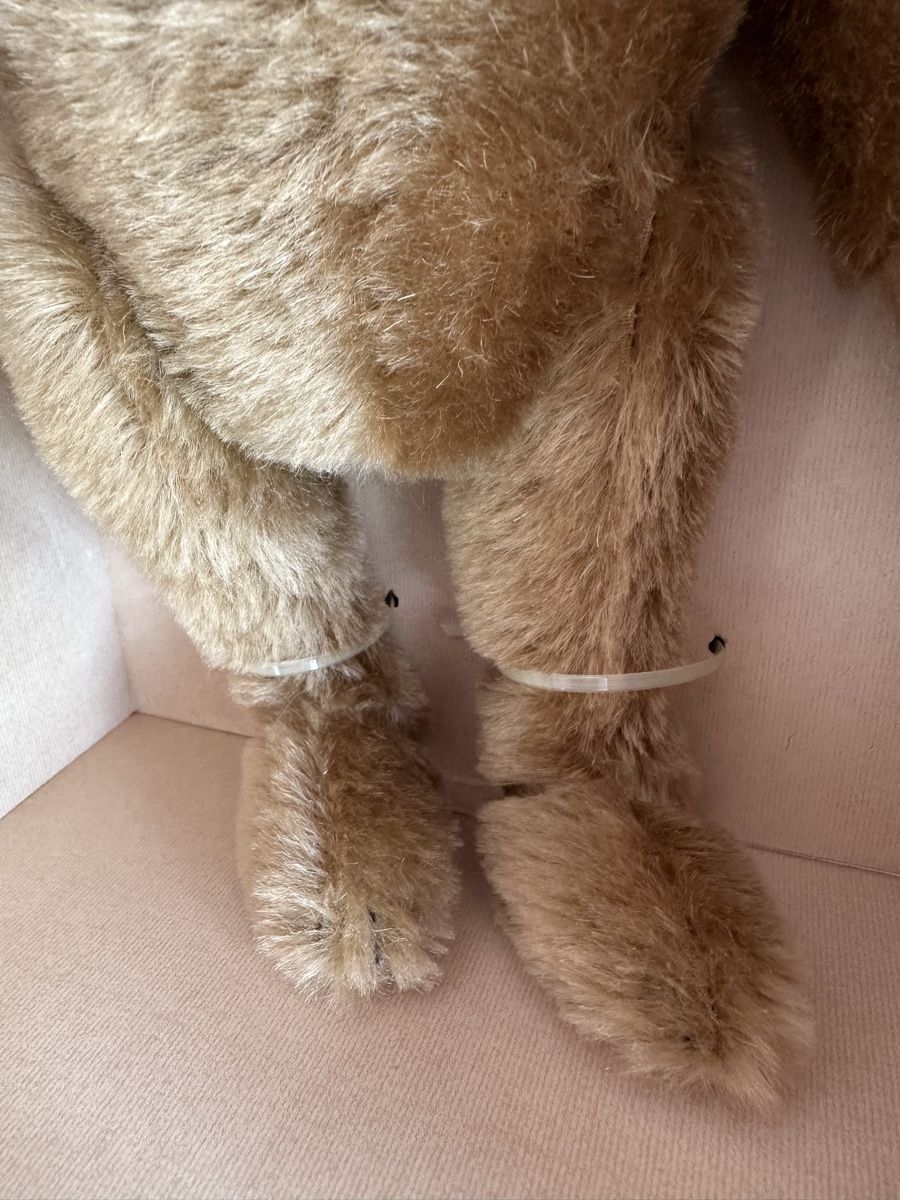 Giocattoli: Grosser Steiff Bär 43 cm neu – Nuovo (secondo la descrizione) da Herbriggen venduto da Sehrazade 3