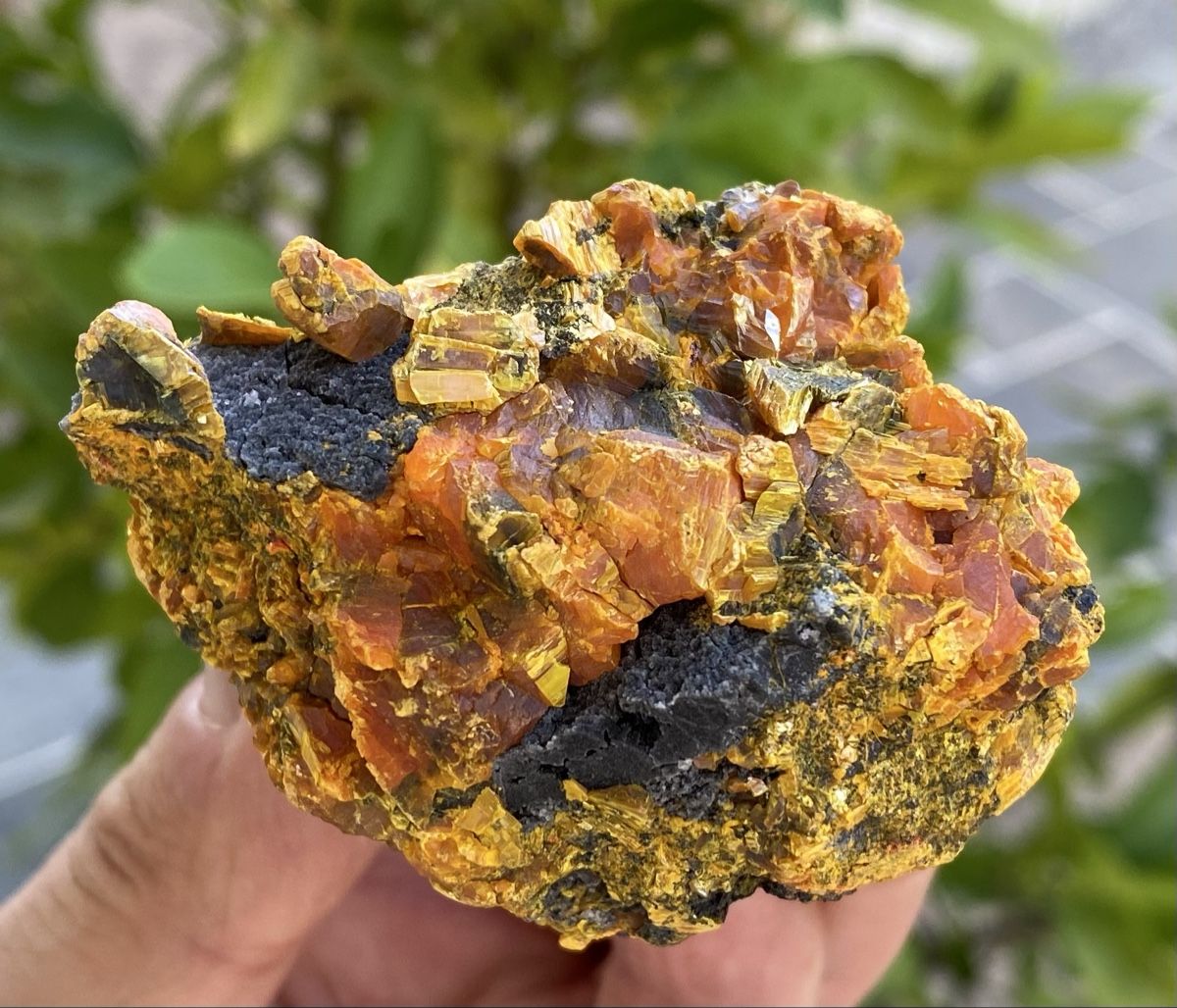 Minerali & Pietre curative: Sehr schöner Wulfenit  – Usato da Selzach venduto da 321compac 8