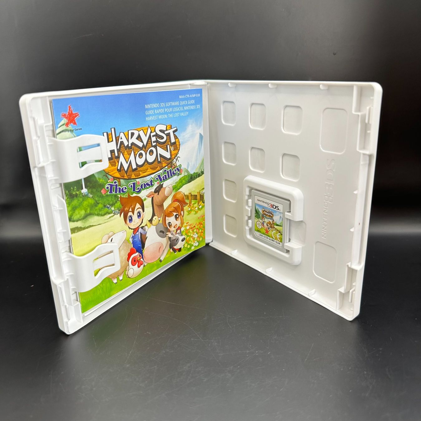 Nintendo Giochi: Harvest Moon Das verlorene Tal 3DS – Usato da Düdingen venduto da Nerdworld 2