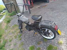 Cilo Pony Cross 521