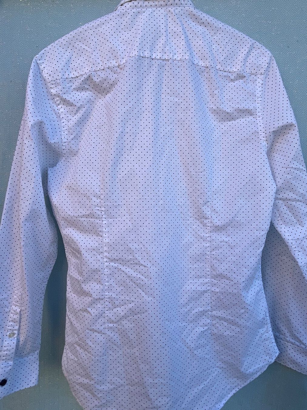 Zara Camicie: ZARA Herren Langarm Hemd Gr. L – Usato da Frasnacht venduto da GracyStore 2