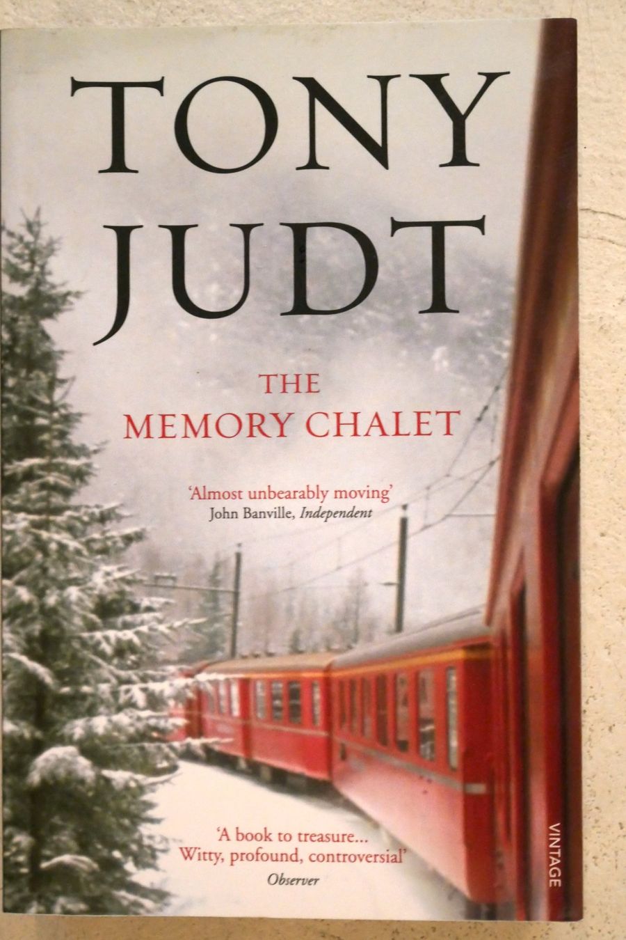 Libri: Tony Judt: Memory Chalet – Usato da Adliswil venduto da Dkain