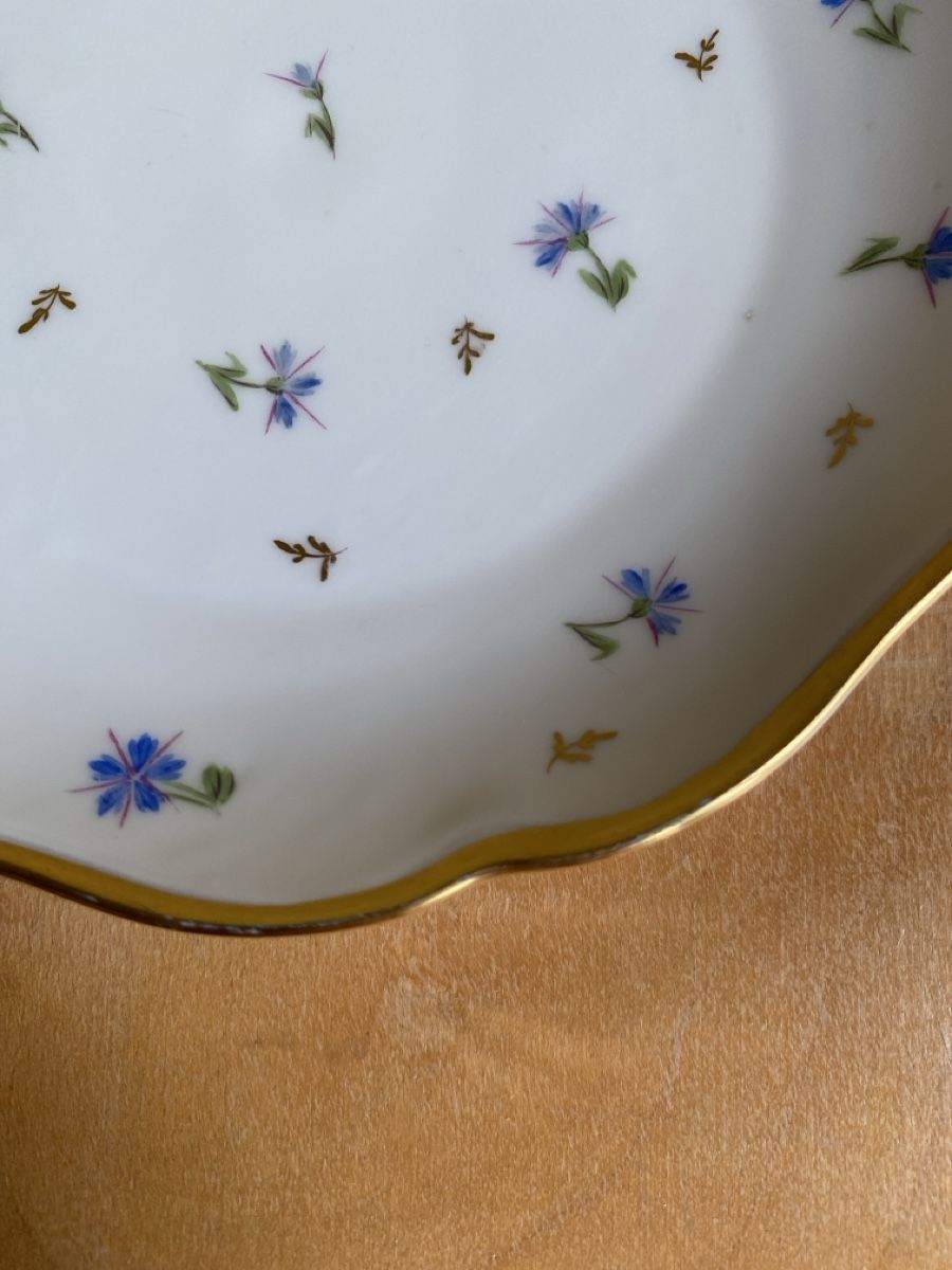 Rosenthal Piatti: Rosenthal Teller handbemalt – Usato da Luzern venduto da Gustav-33 2