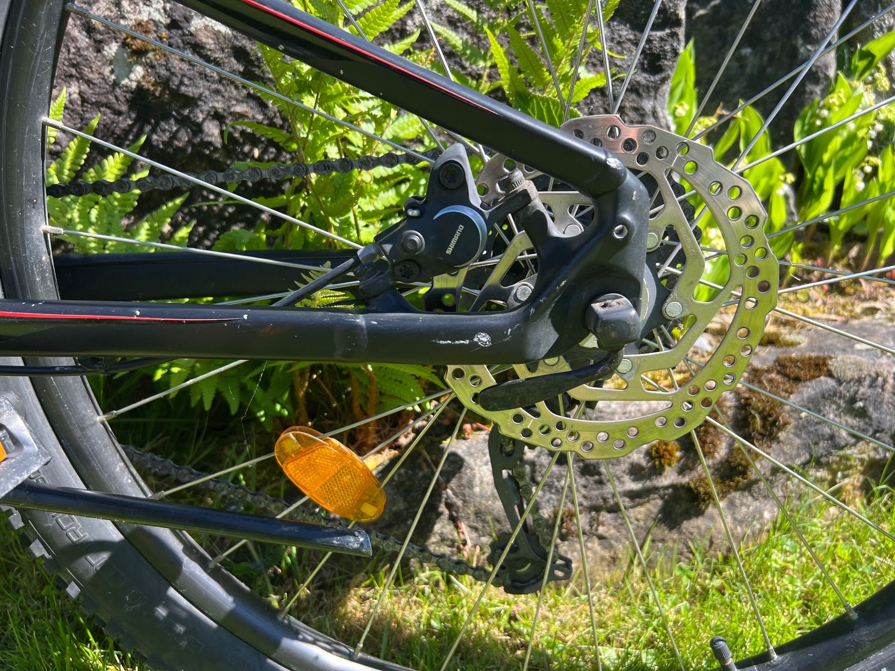 Specialized Velos: Kinder Mountainbike Specialized – Gebraucht aus Wünnewil von  3