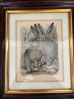 Hasen, Litographie monochrom