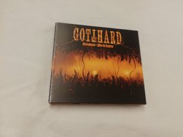 GOTTHARD - HOMEGROWN - ALIVE IN LUGANO