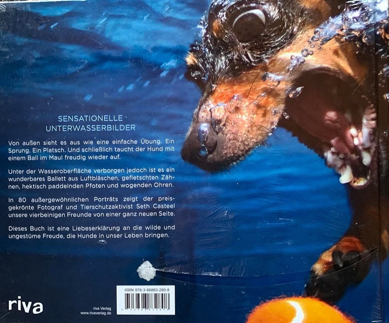 Bücher: Hunde unter Wasser Buch – Neu und originalverpackt aus Forch von Laura-96 1