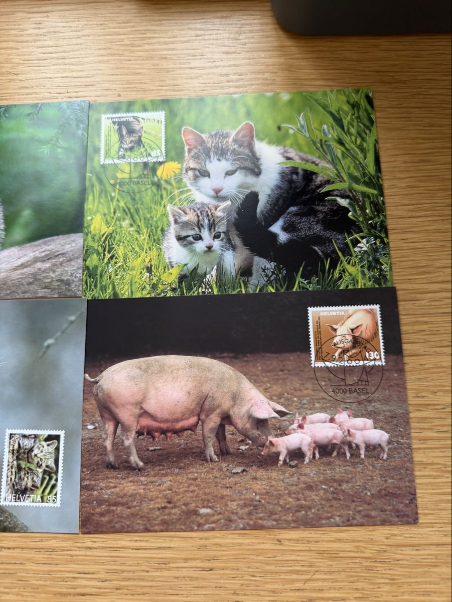 Cartoline postali: 10 Maximumkarten Schweiz – Nuovo (secondo la descrizione) da Murgenthal venduto da Tina_4055 2