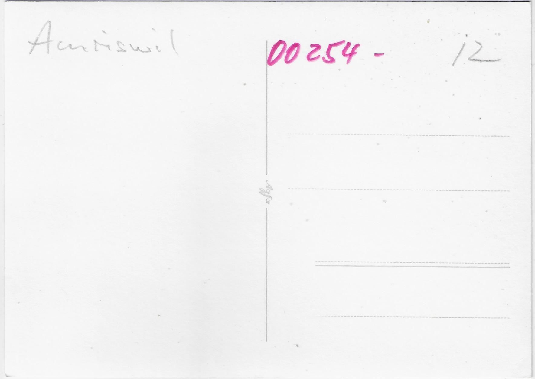 Cartoline postali: Flugaufnahme Amriswil TG – Antico da Ettingen venduto da Kartenplanet 1
