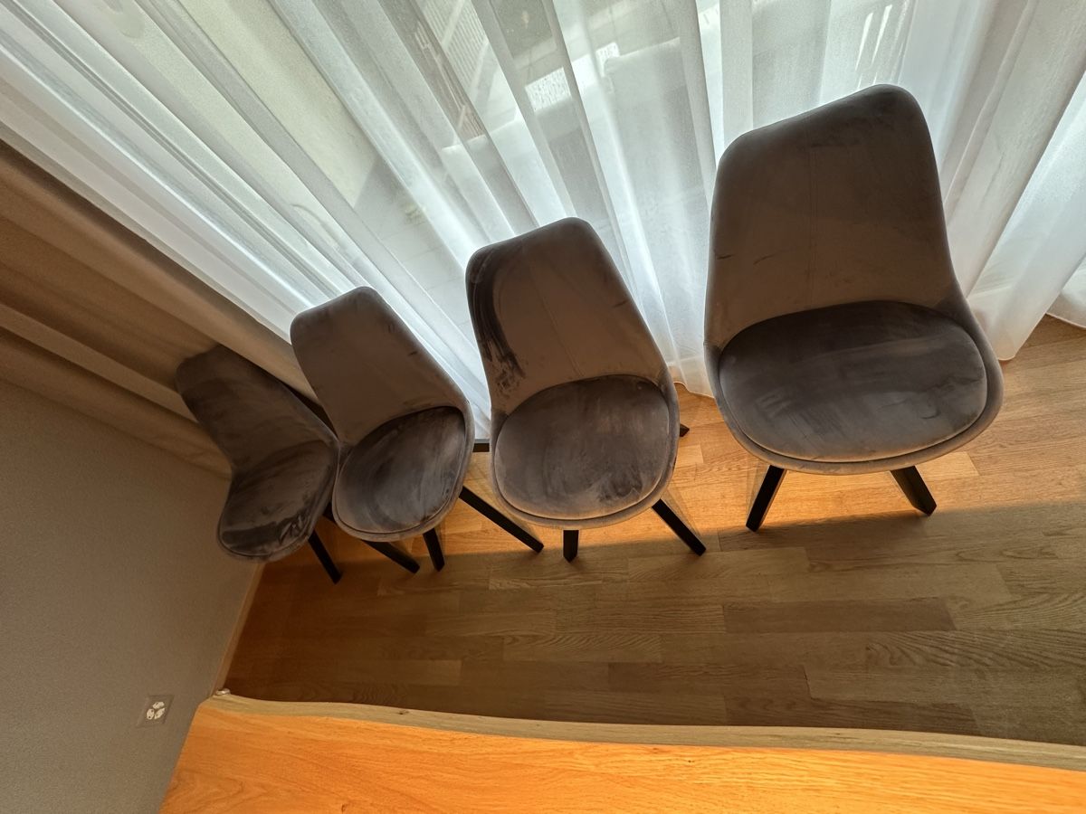 Sedie: Esszimmerstühle 4set – Usato da Langnau am Albis venduto da Vanessa91_LA