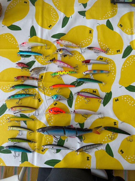 POISSON PANIER - Moules et leurres HANDMADE