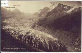 Vue totale du Glacier du Trient