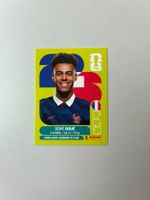 Carte panini 2026 - FRA 17