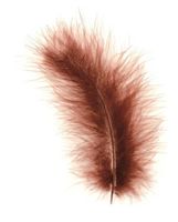 Glorex Marabufedern ca. 15 Stück, braun  (neu/OVP)