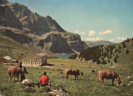 Bannalp - Berghaus Urnerstaffel