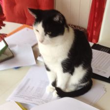 Profile image of Schnurli12345