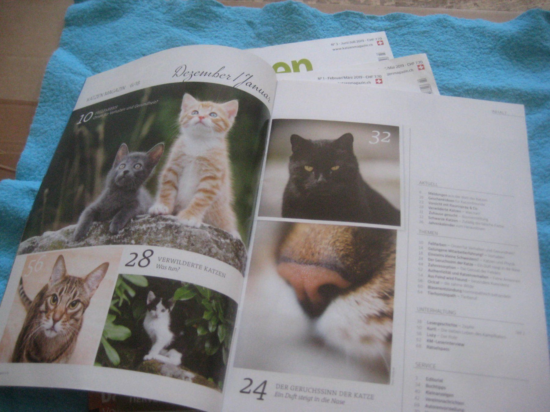 Riviste & Magazine: KATZEN HEFTEN  MAGAZIN – Usato da Uster venduto da flocke1 1
