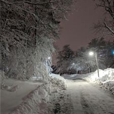 Profile image of winternight
