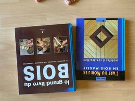 lot de 2 livres sur le bois