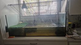 Aquarium complet pour tortues ou petit poissons tout compris