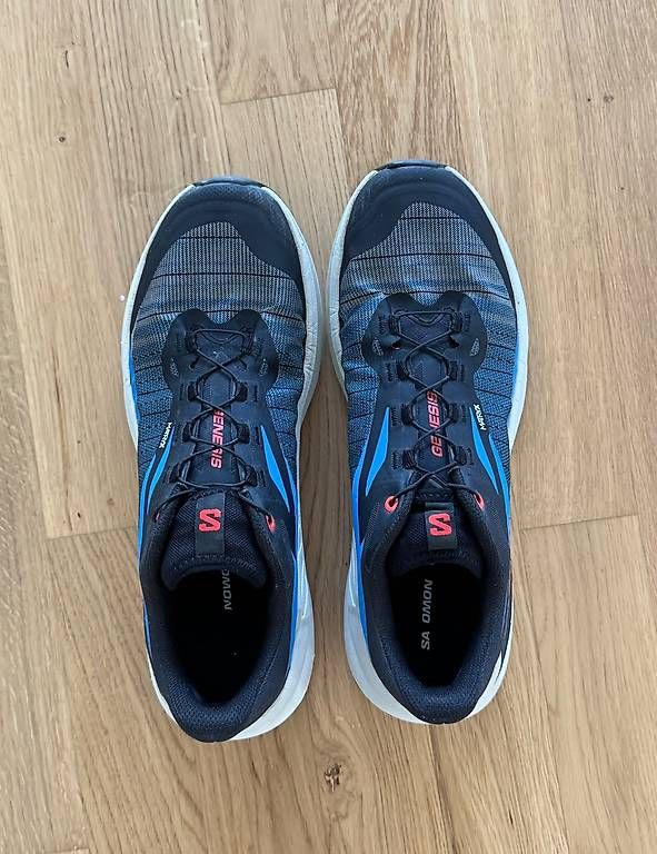 Salomon Scarpe da uomo: Salomon Genesis - 44.5 – Usato da Dübendorf venduto da pas_t9cf 1