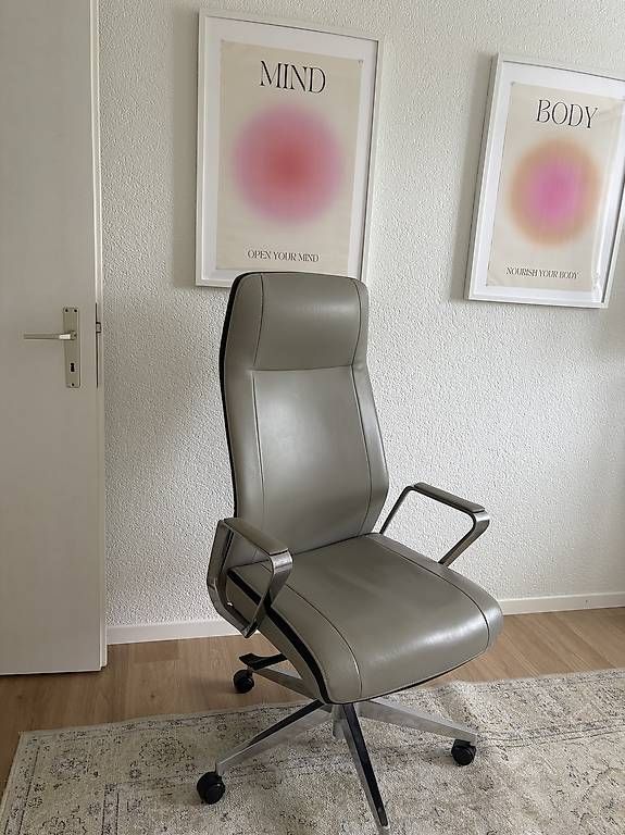 Sedie: Ergonomischer Bürostuhl – Usato da Wallisellen venduto da ozi97