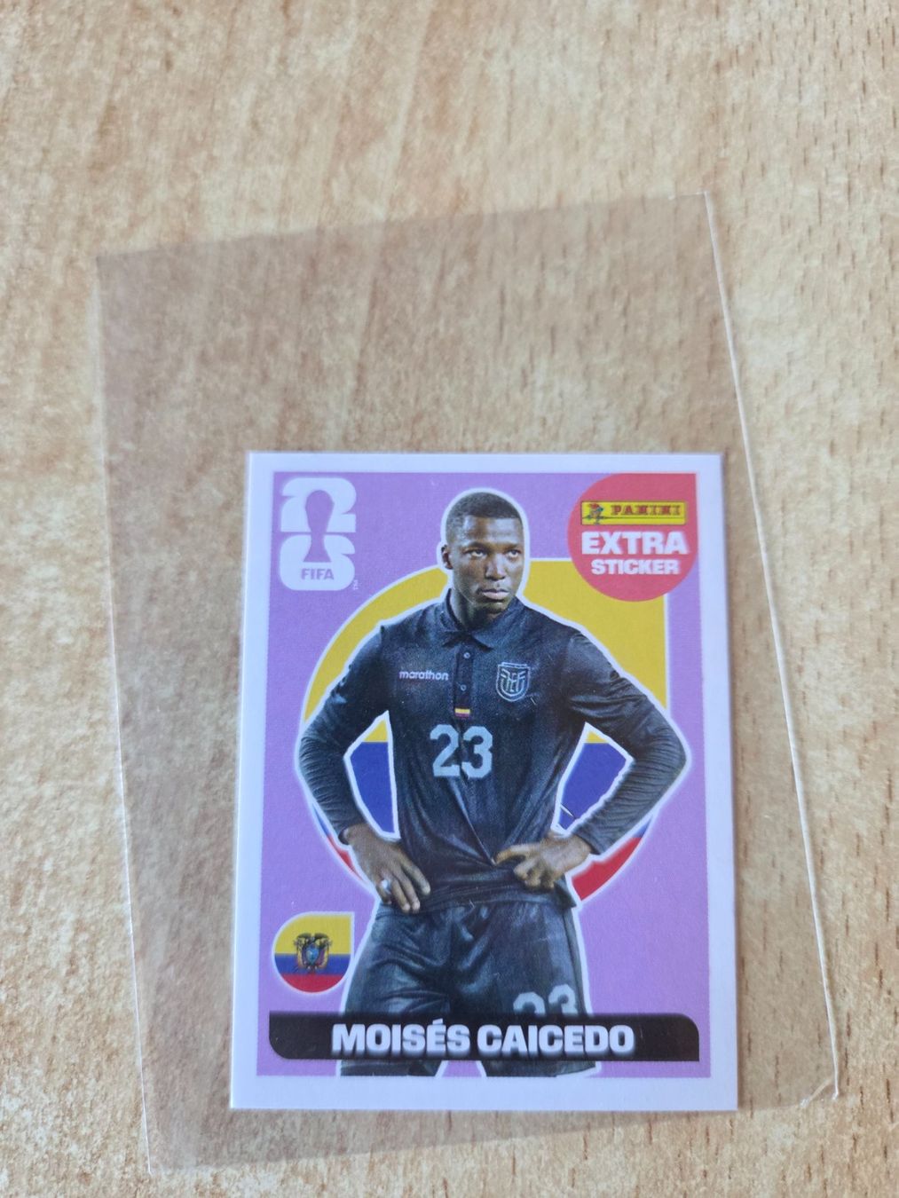 Panini Carte collezionabili: Panini Caicedo extra normal NM – Nuovo (secondo la descrizione) da Romoos venduto da Raf_65zw