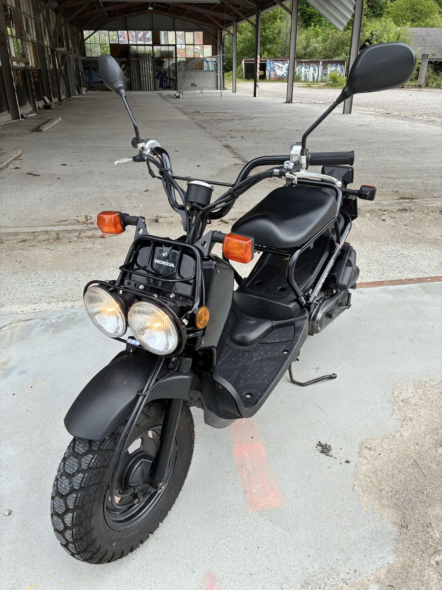 Honda Scooters: Honda NPS 50 Zoomer "Ruckus" – Gebraucht aus Muttenz von Jordan4127 1