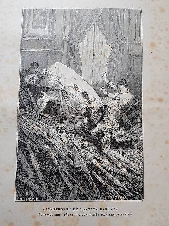 Libri: "Moeurs et instincts des animaux" 1887 – Usato da Ste-Croix venduto da gfamily 2