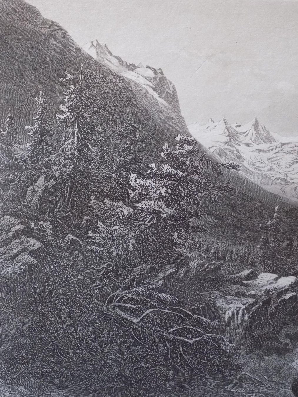 Incisioni: Der Roseg Gletscher – Usato da Risch venduto da Rischli15 3