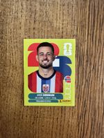 Panini WM 2026 Sticker Aron Donnum 