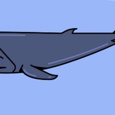Profile image of Paedy-73