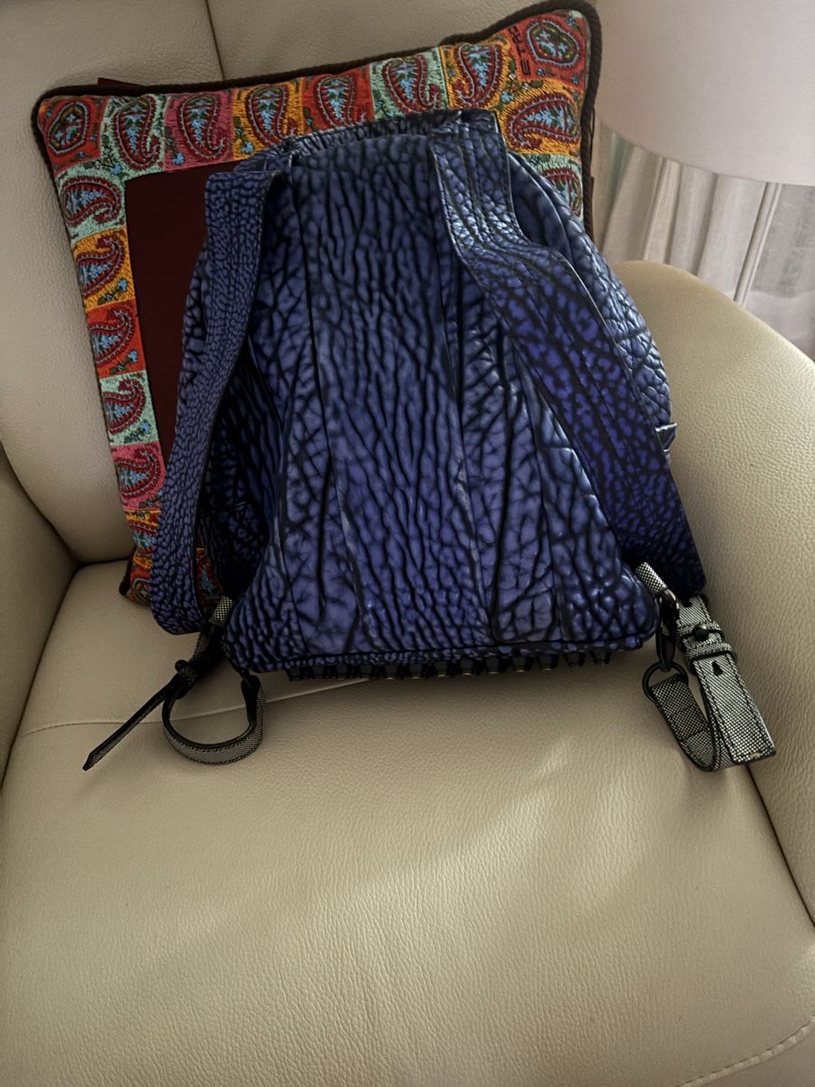 Alexander Wang Zaini: Alexander Wang  Rucksack – Usato da Zürich venduto da BredaB 2