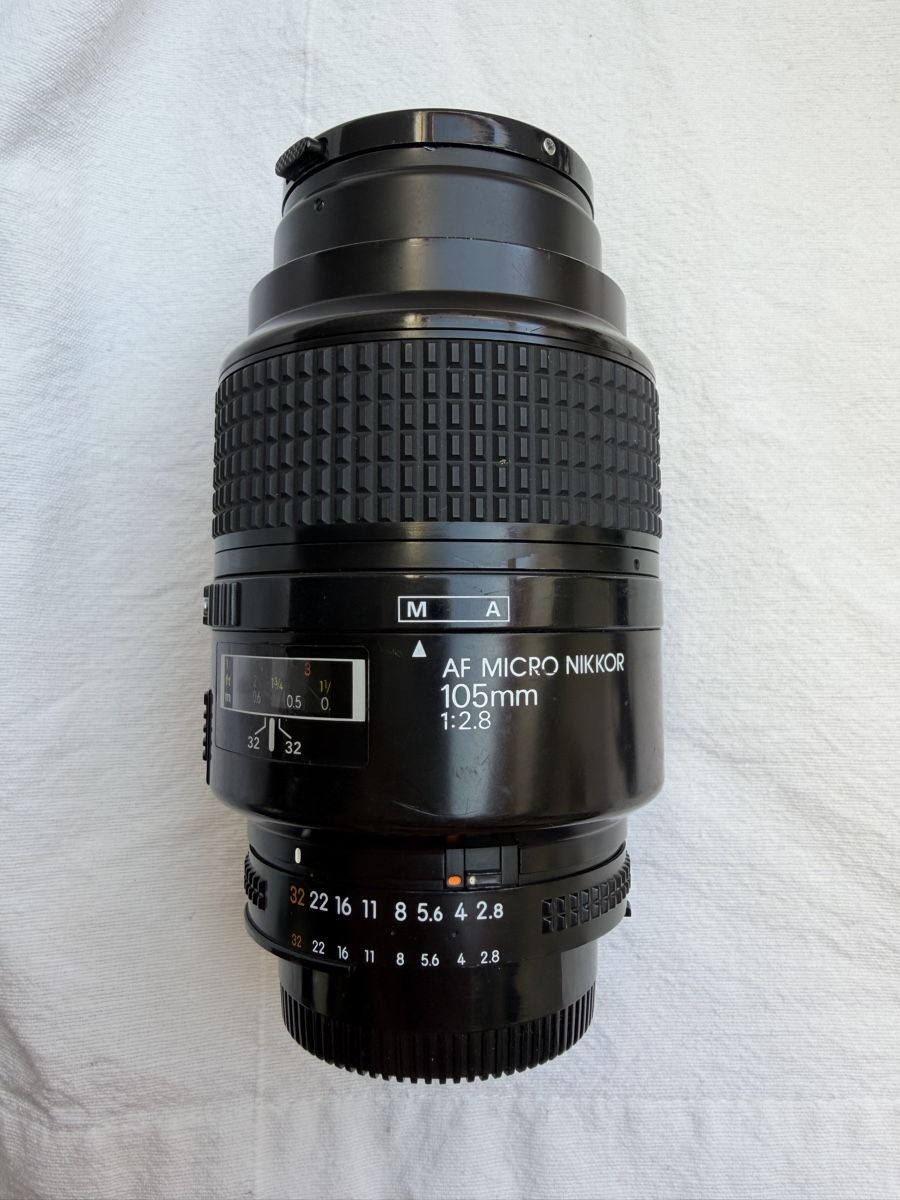 Nikkor Obiettivi: Nikon AF Micro Nikkor 105mm 1:2.8 Makro Objektiv – Usato da Olten venduto da Lulu_Amani