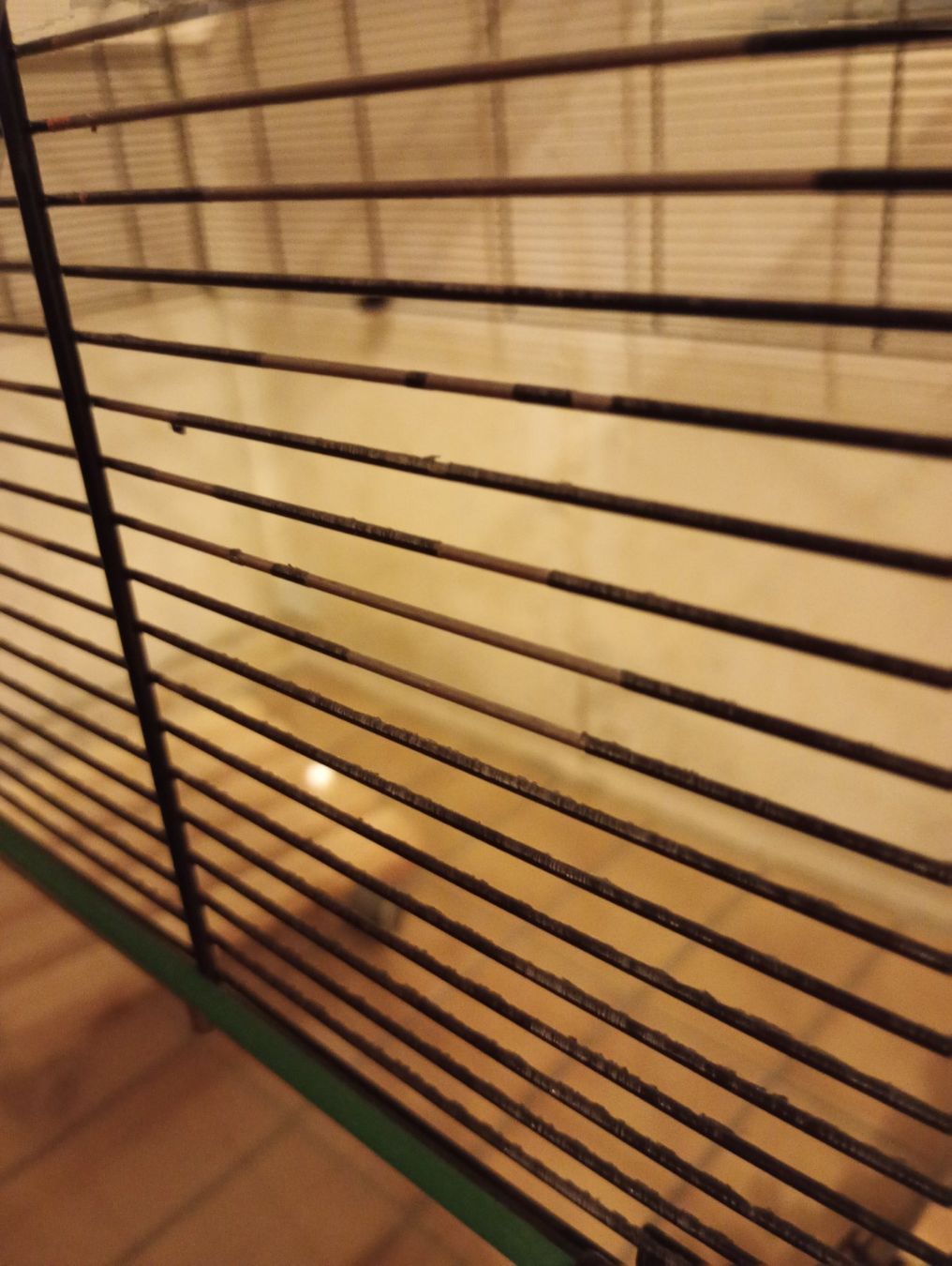 Skyline Cages, transport & sécurité: Käfig – D'occasion à Seftigen par webfox 3