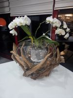 Blumenvase aus holz und glas